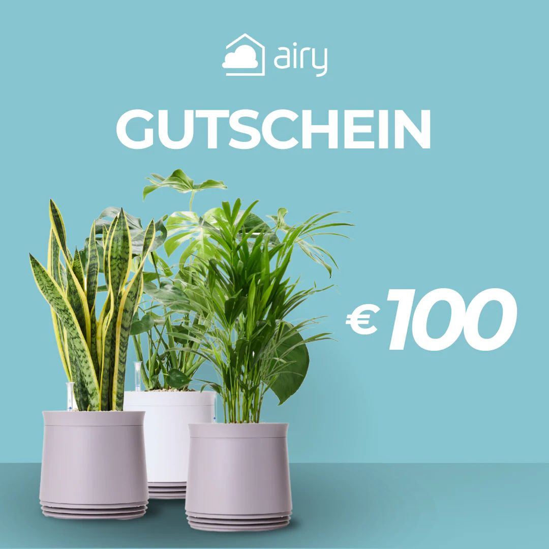 AIRY Geschenkgutschein - Image 3