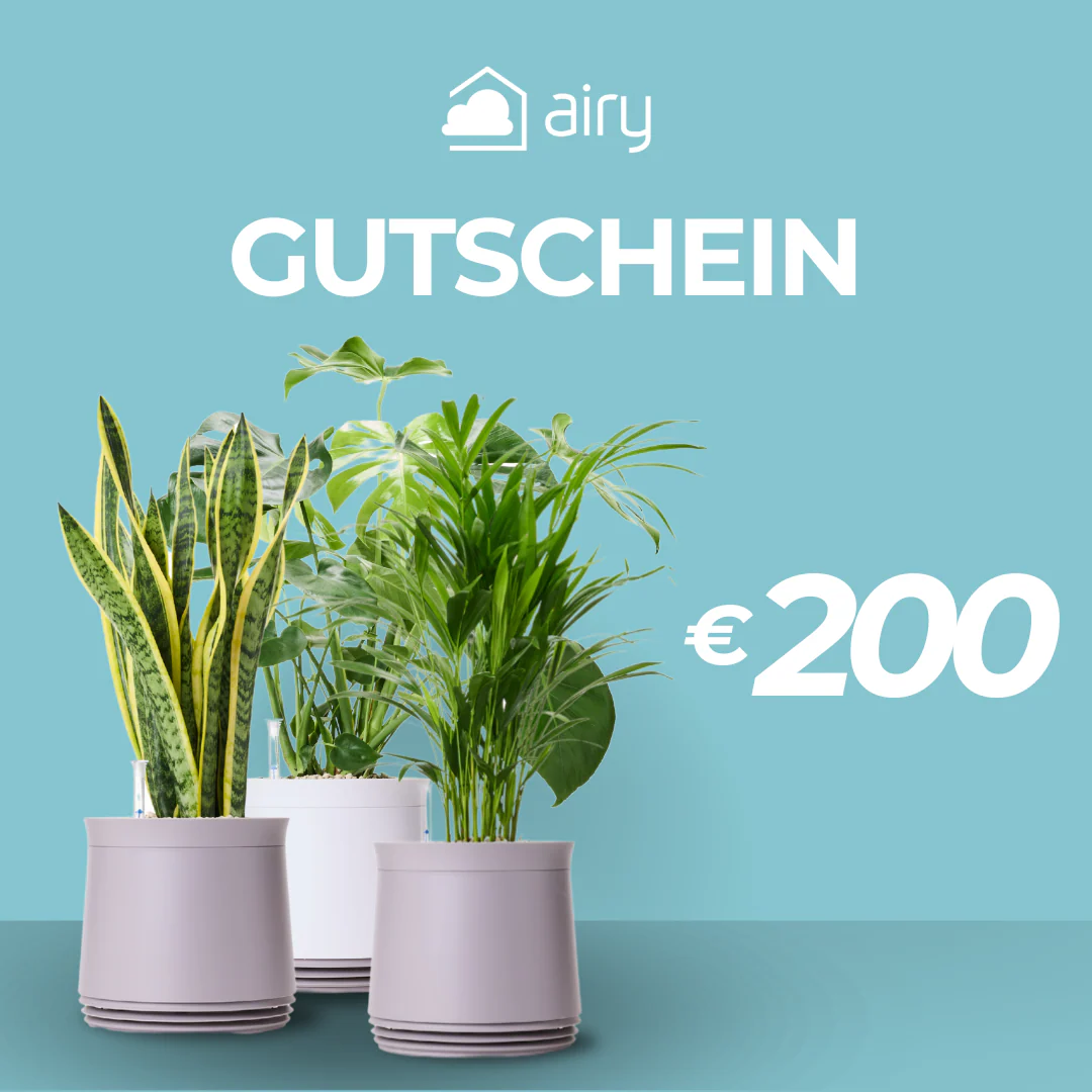 AIRY Geschenkgutschein - Image 5