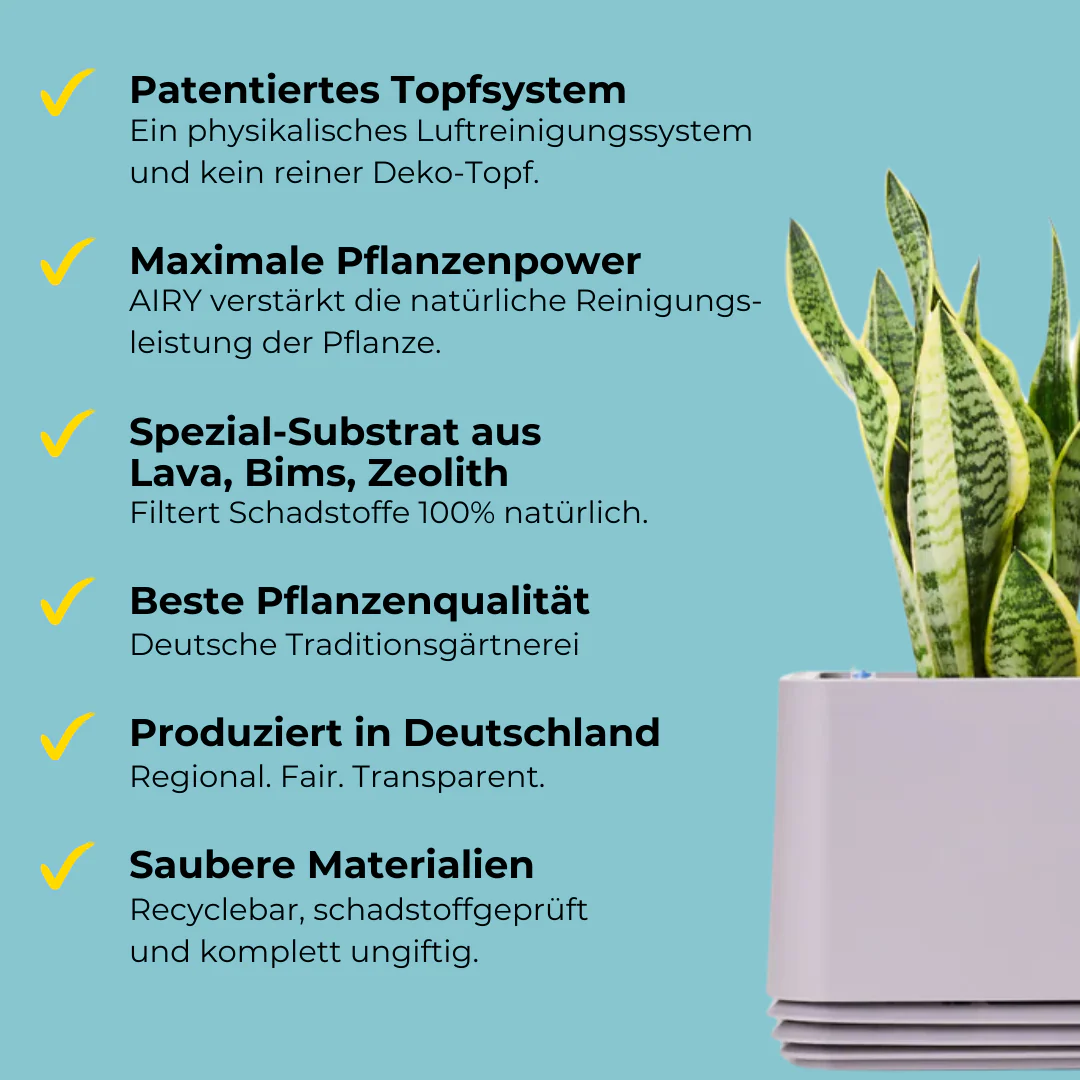 Wohlfühlraum Bundle M - Image 6