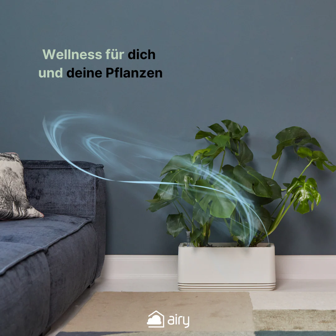 AIRY System L Monstera - Image 10