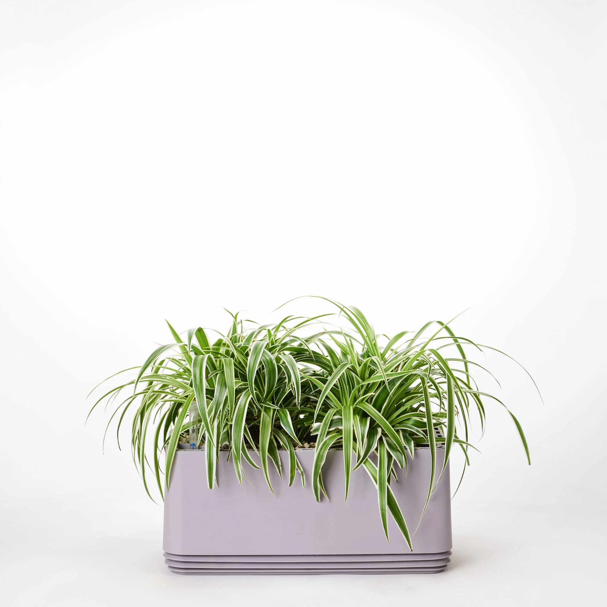 AIRY System L Grünlilie - Image 12