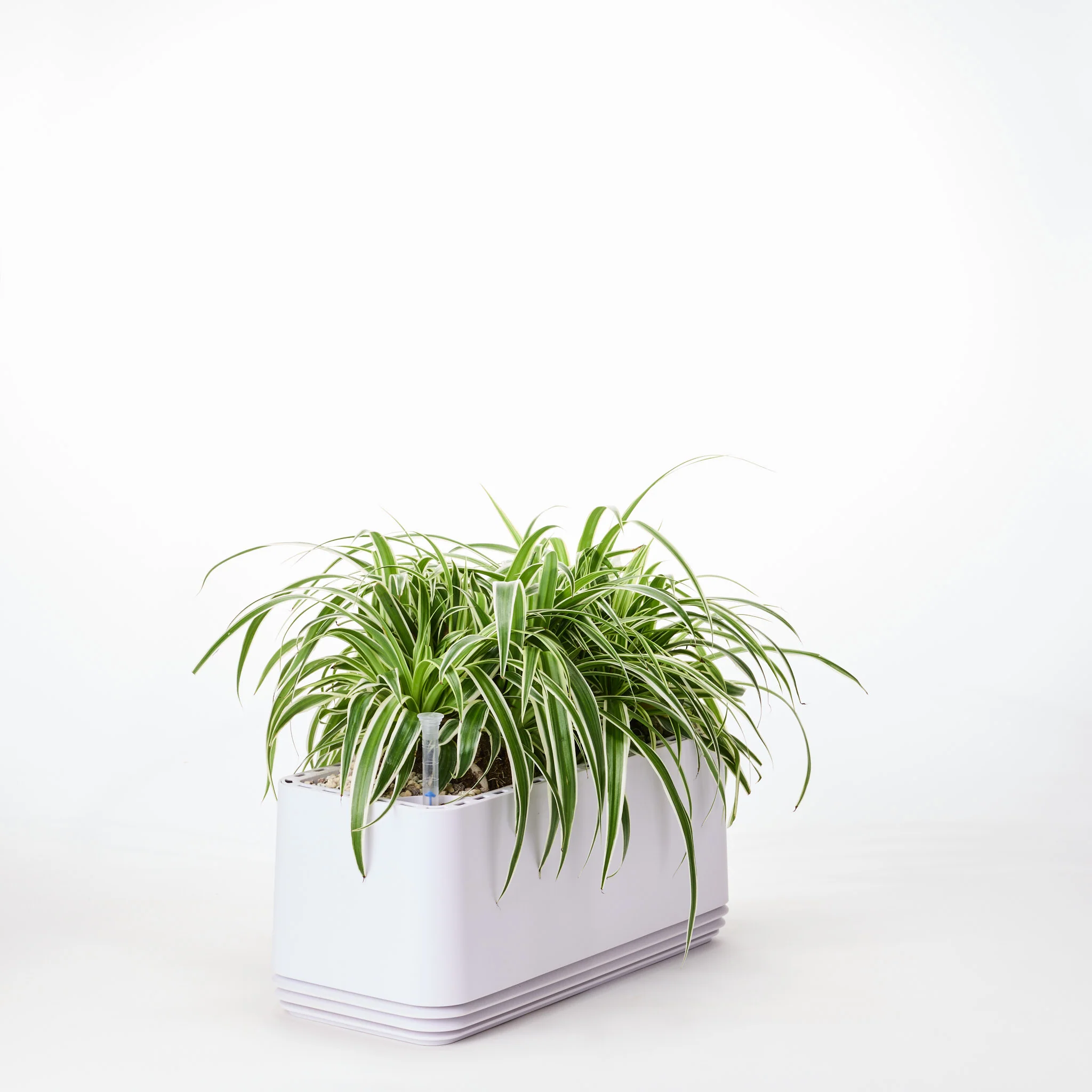 AIRY System L Grünlilie - Image 22