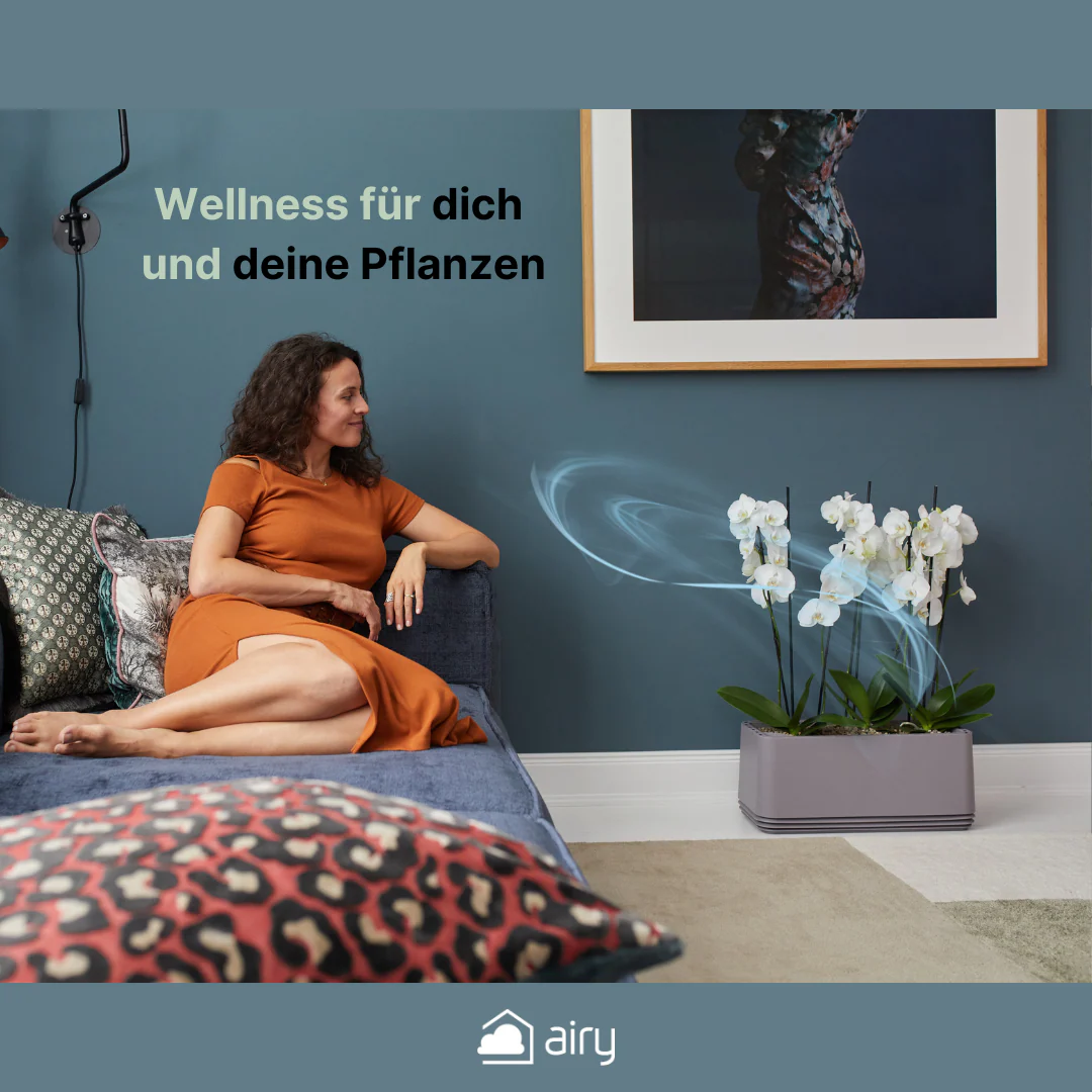 AIRY System L Orchideen - Image 13