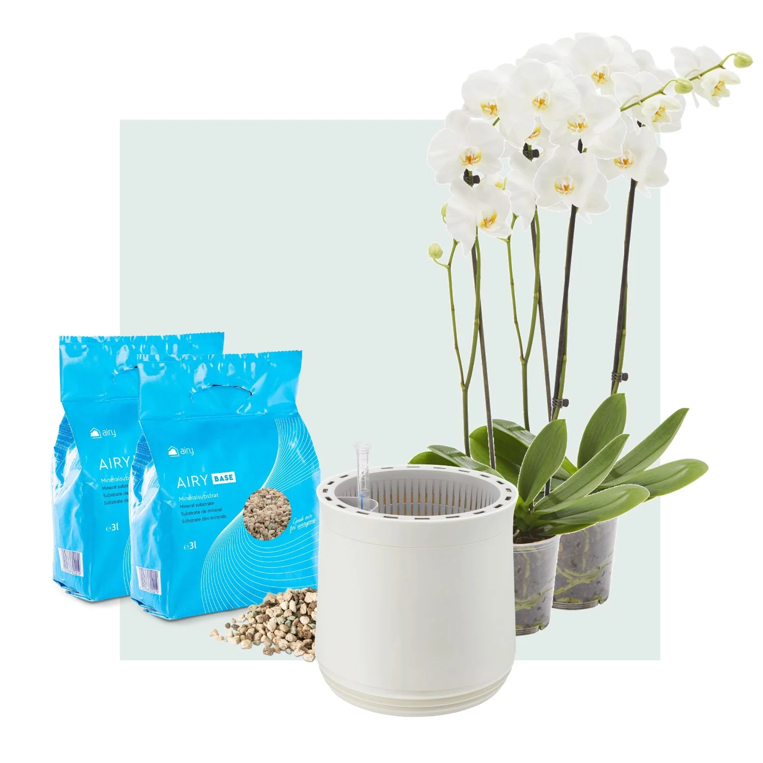 AIRY System M Orchidee - Image 3