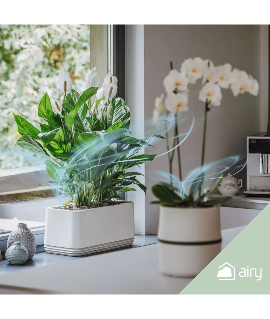 AIRY System M Orchidee - Image 6