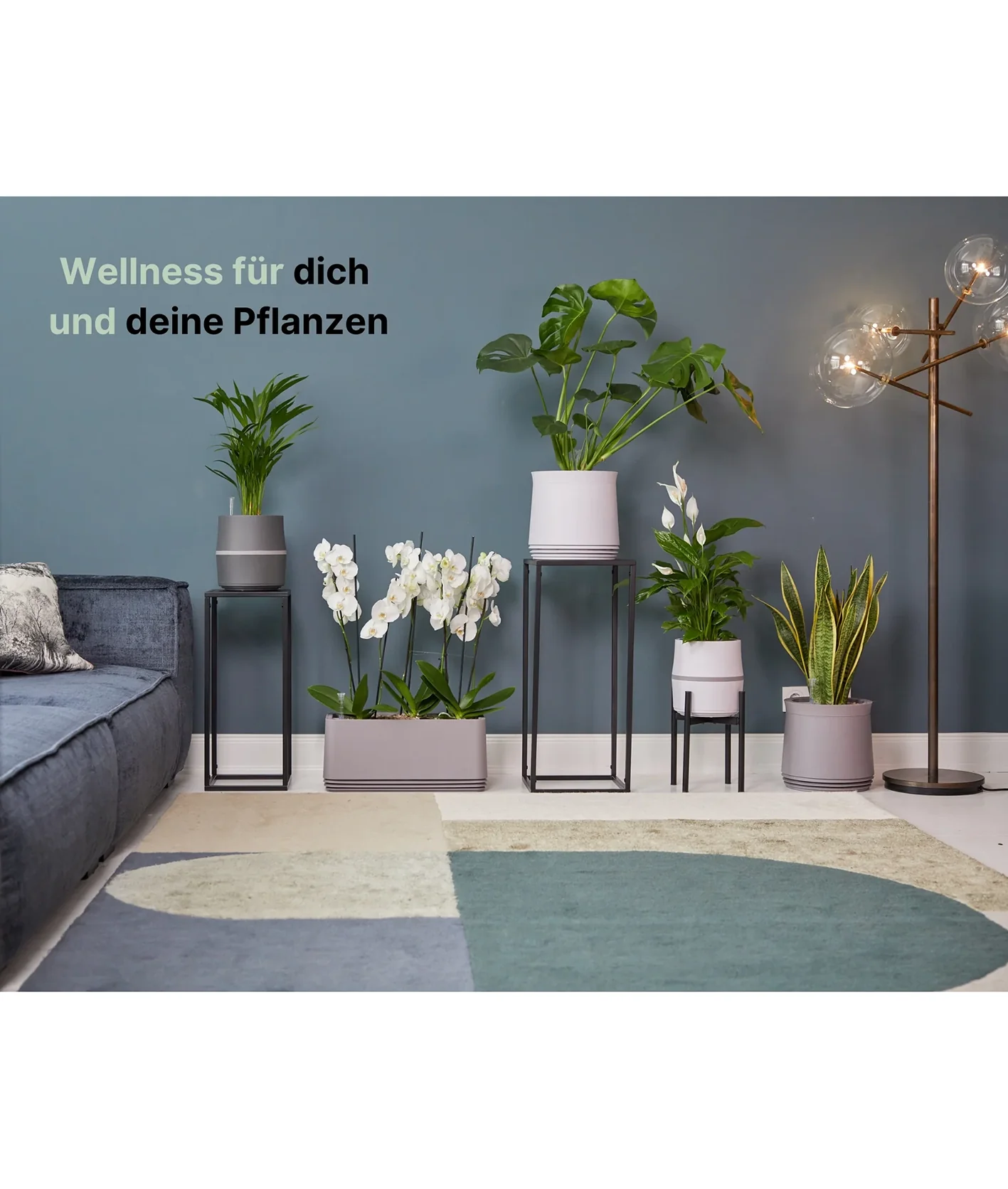 AIRY System M Orchidee - Image 8