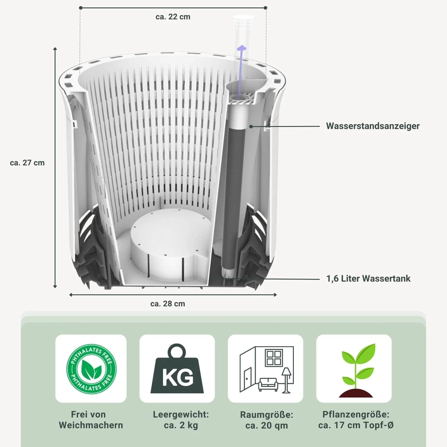 AIRY System M Goldfruchtpalme - Image 4