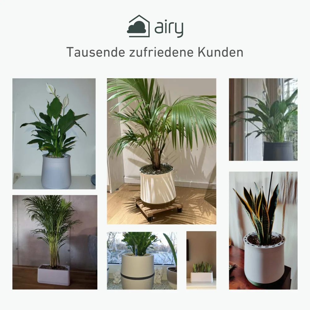 Wohlfühlraum Bundle L - Image 10