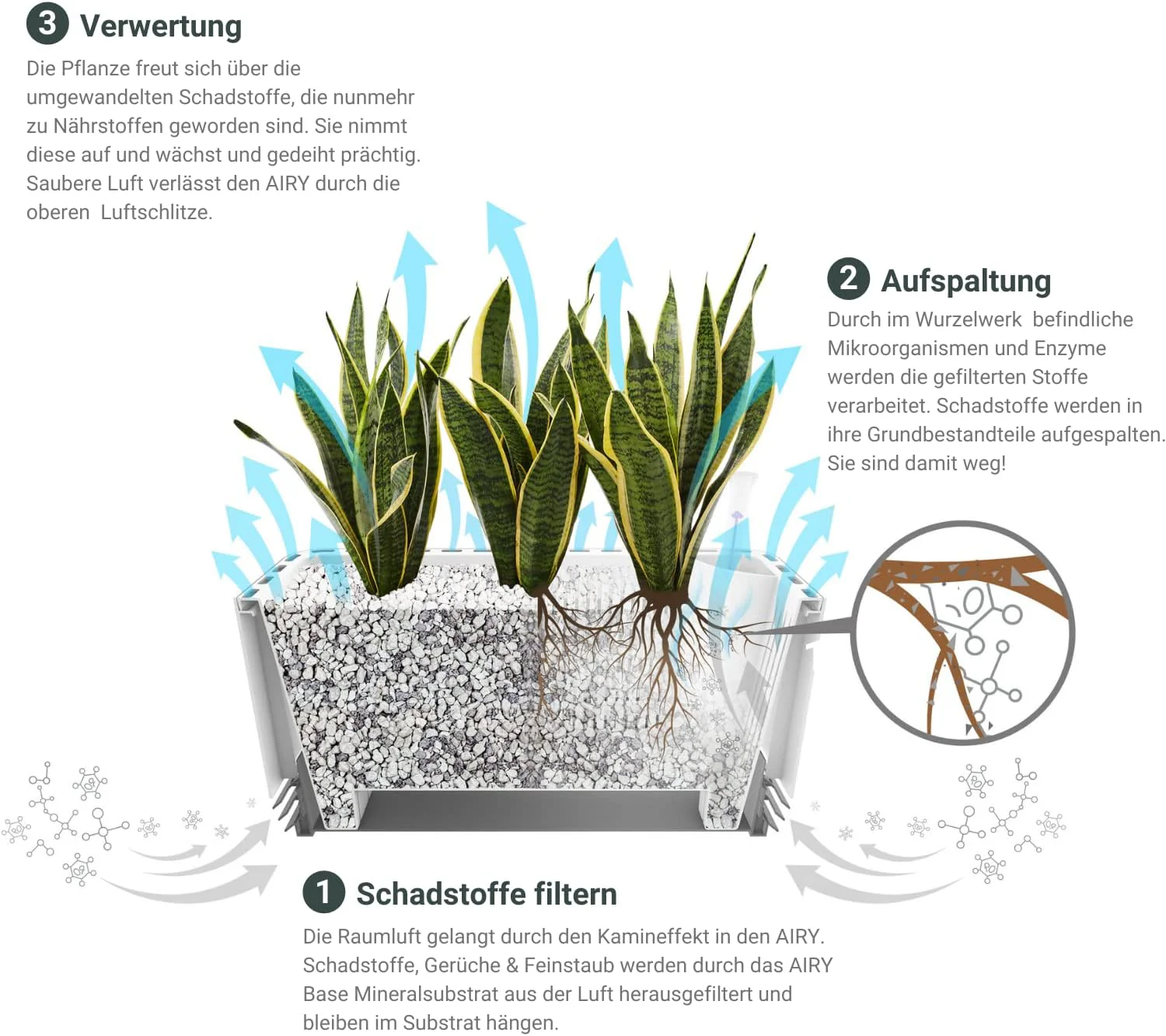 Wohlfühlraum Bundle L - Image 3